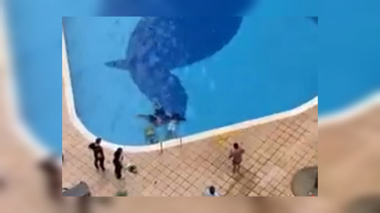 Se encontraban disfrutando de la piscina en el conjunto residencial Caminos de la Primavera en la comuna 9, al norte de la ciudad de Neiva.