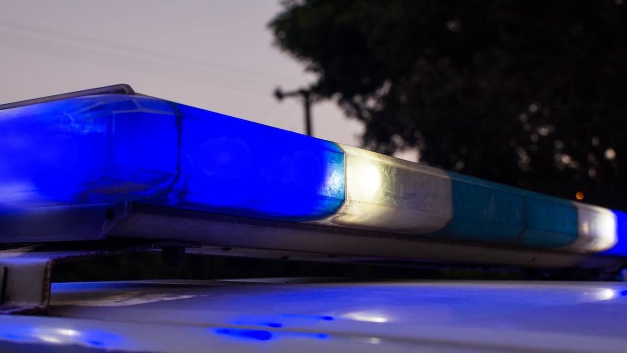 La mujer tuvo que ser llevada a un centro médico debido a que sufrió una crisis nerviosa por el ataque.