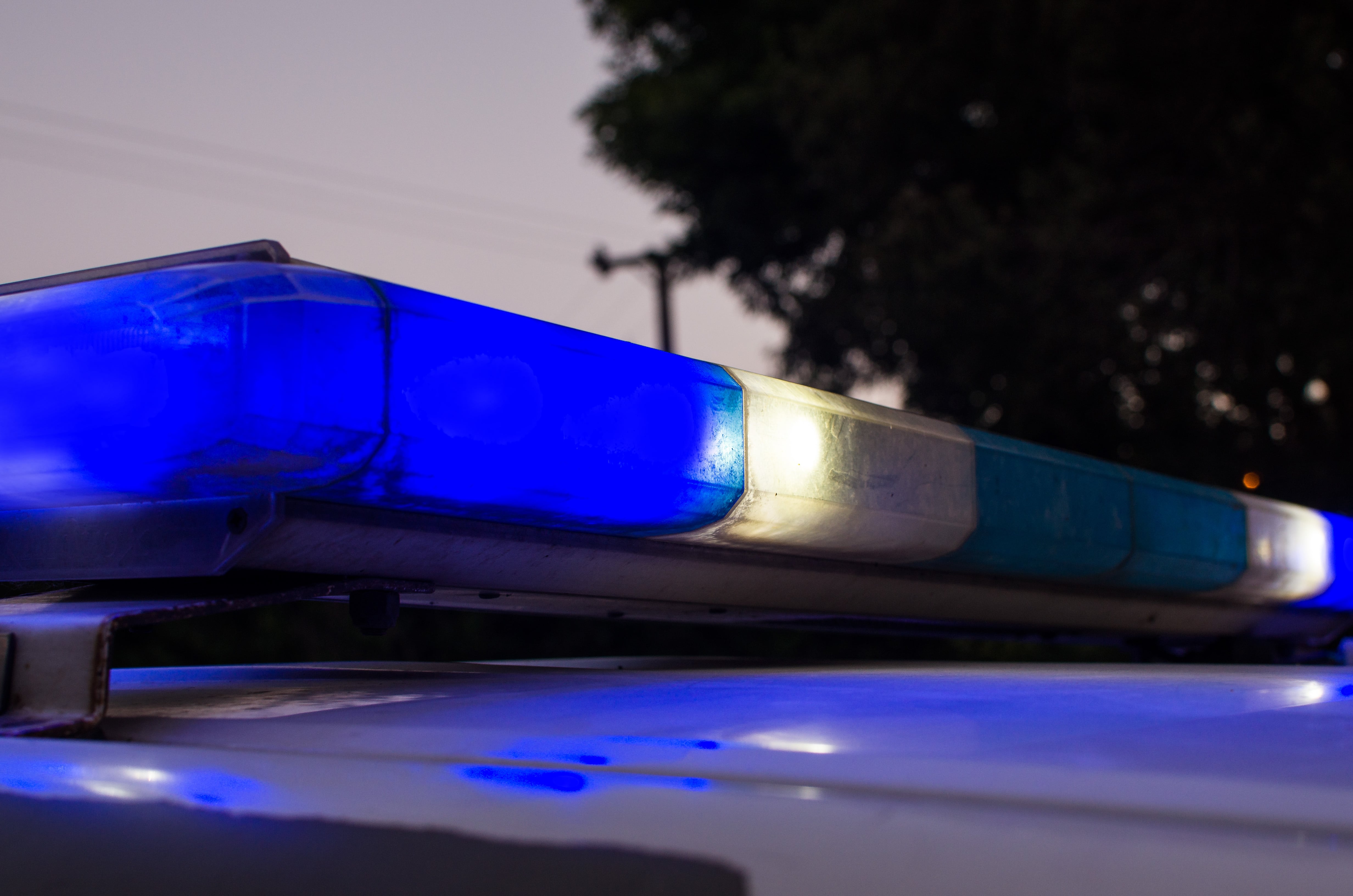 La mujer tuvo que ser llevada a un centro médico debido a que sufrió una crisis nerviosa por el ataque.