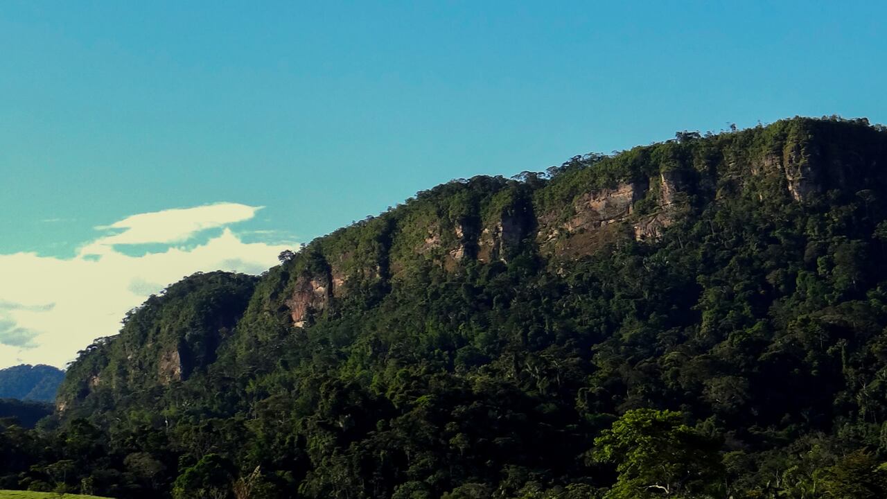 La Cordillera de los Picachos representa un área importante para la conservación de la biodiversidad, pero la deforestación es una amenaza que no termina con la delimitación del zona protegida.
