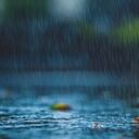 Explorando la magia de las costumbres ancestrales, el ritual con agua de lluvia y rosas emerge como una ceremonia simbólica, donde la pureza del agua y la pasión de las rosas se combinan para atraer el amor de una manera única y especial.