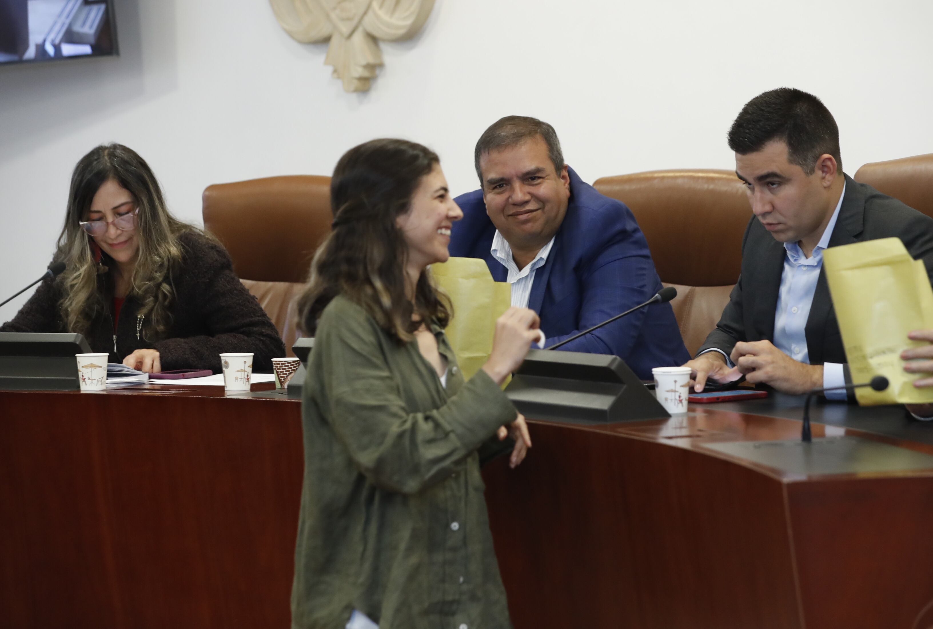 Susana Boreal presidenta de la Comisión Legal de Ética y el Estatuto del Congresista de la Cámara de Representantes