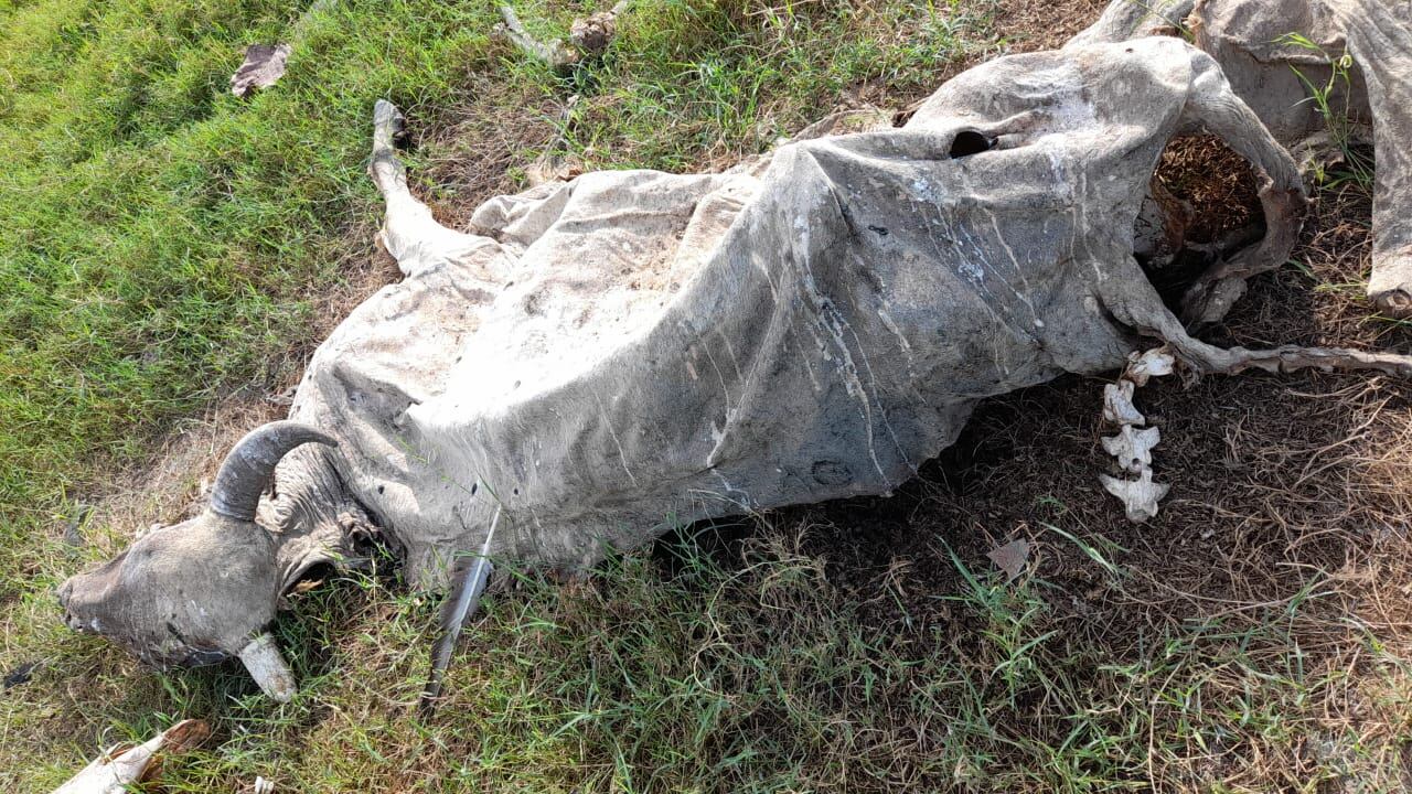 Piden la presencia de la Corporación Autónoma de Santander