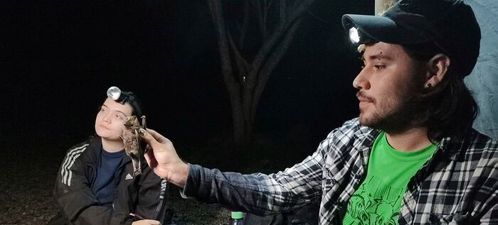 En Cali hallaron una nueva especie de murciélago; este es el ejemplar que tiene maravillados a los expertos.