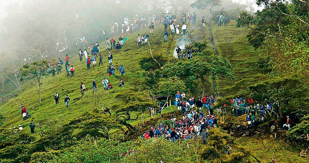 Así se ven algunas de las invasiones de los indígenas en tierras del norte del Cauca. Muchos de esos predios no son sembrados de nuevo.