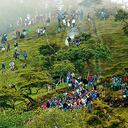 Así se ven algunas de las invasiones de los indígenas en tierras del norte del Cauca. Muchos de esos predios no son sembrados de nuevo.