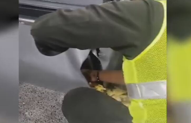 Arsenal bélico hallado en panadería de Cali.