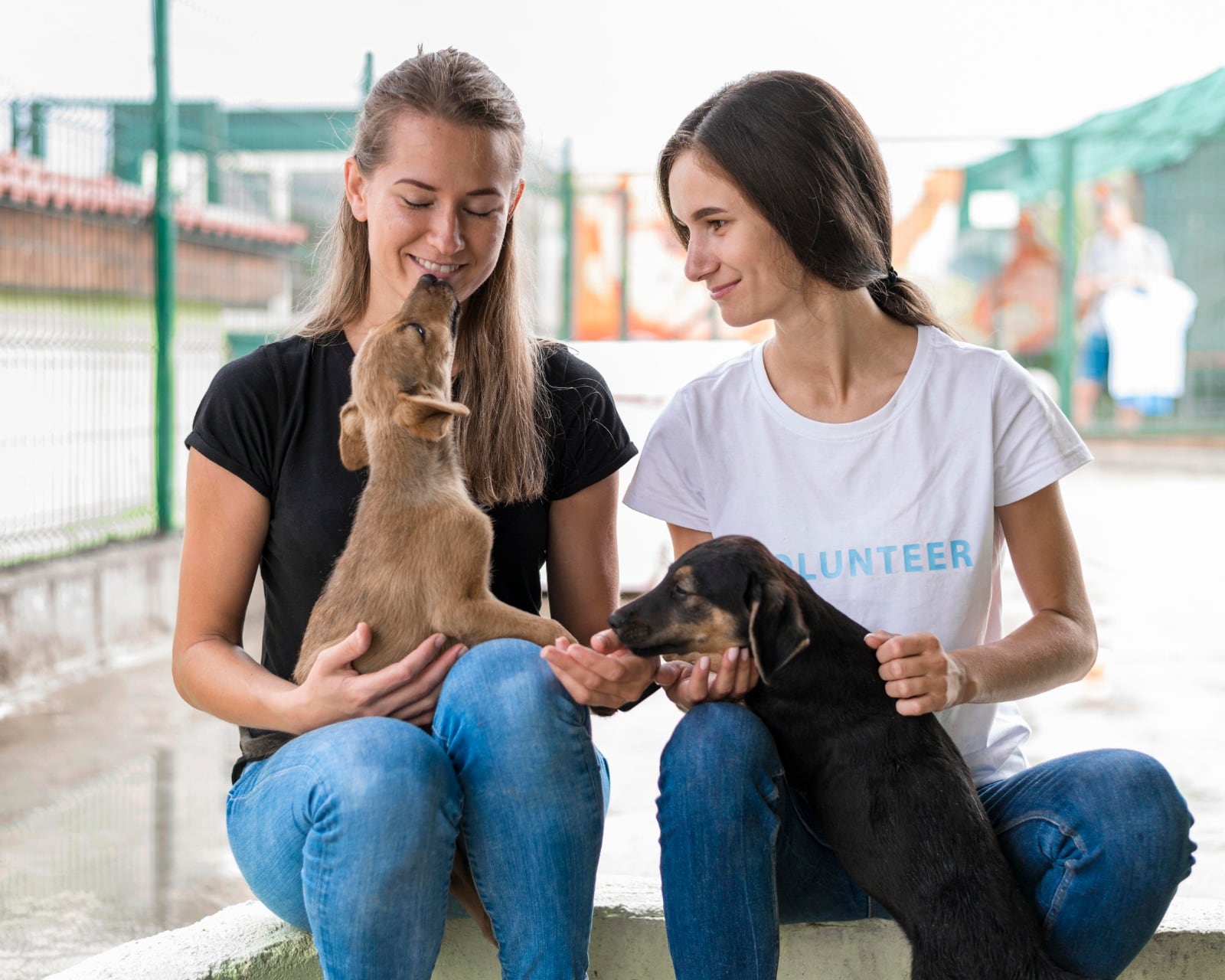 Esto debe tener en cuenta para la próxima jornada de adopción en Bogotá