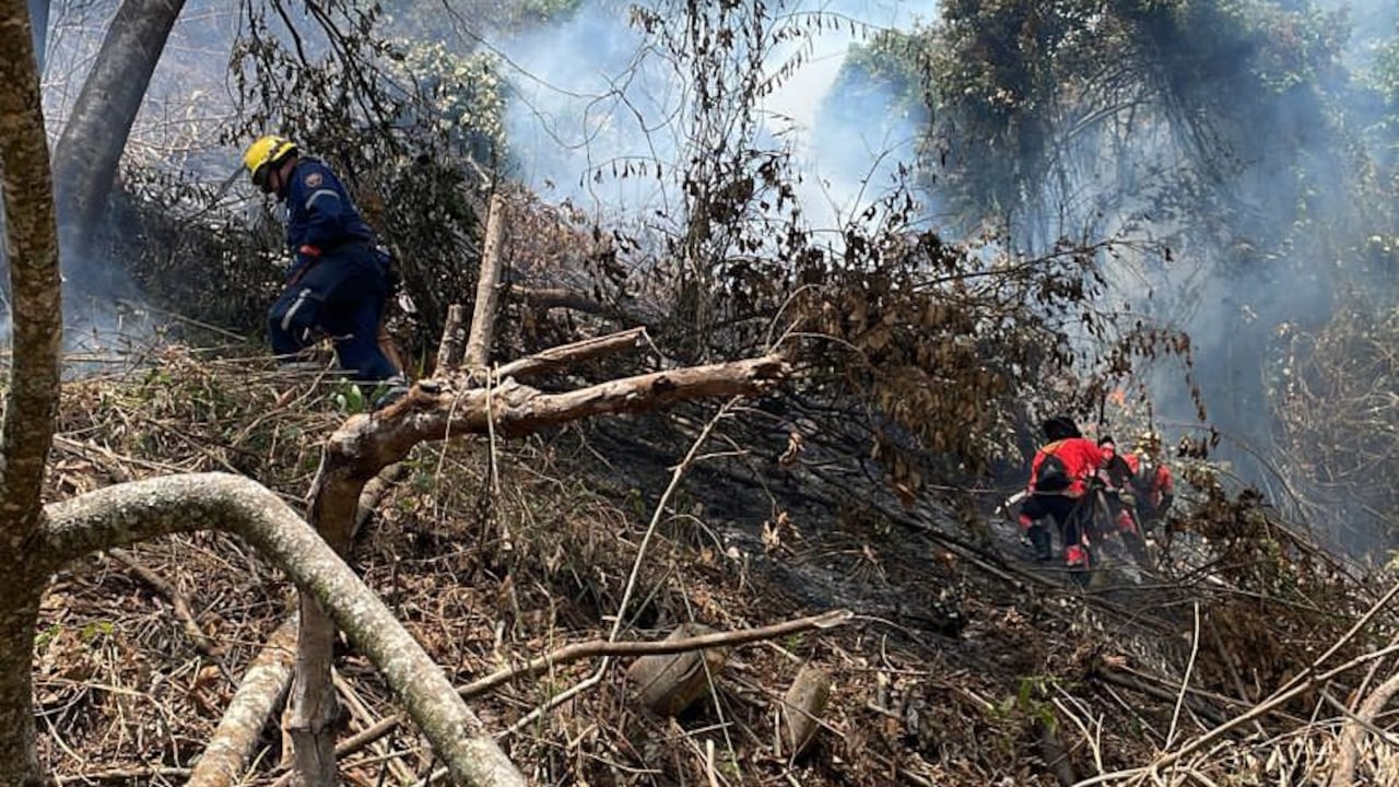 Las altas temperaturas han generado varios incendios de cobertura vegetal en la capital antioqueña