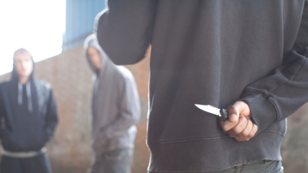 El hurto a personas sigue siendo el principal delito.