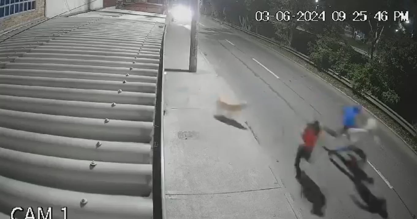 Así reaccionó el perro.