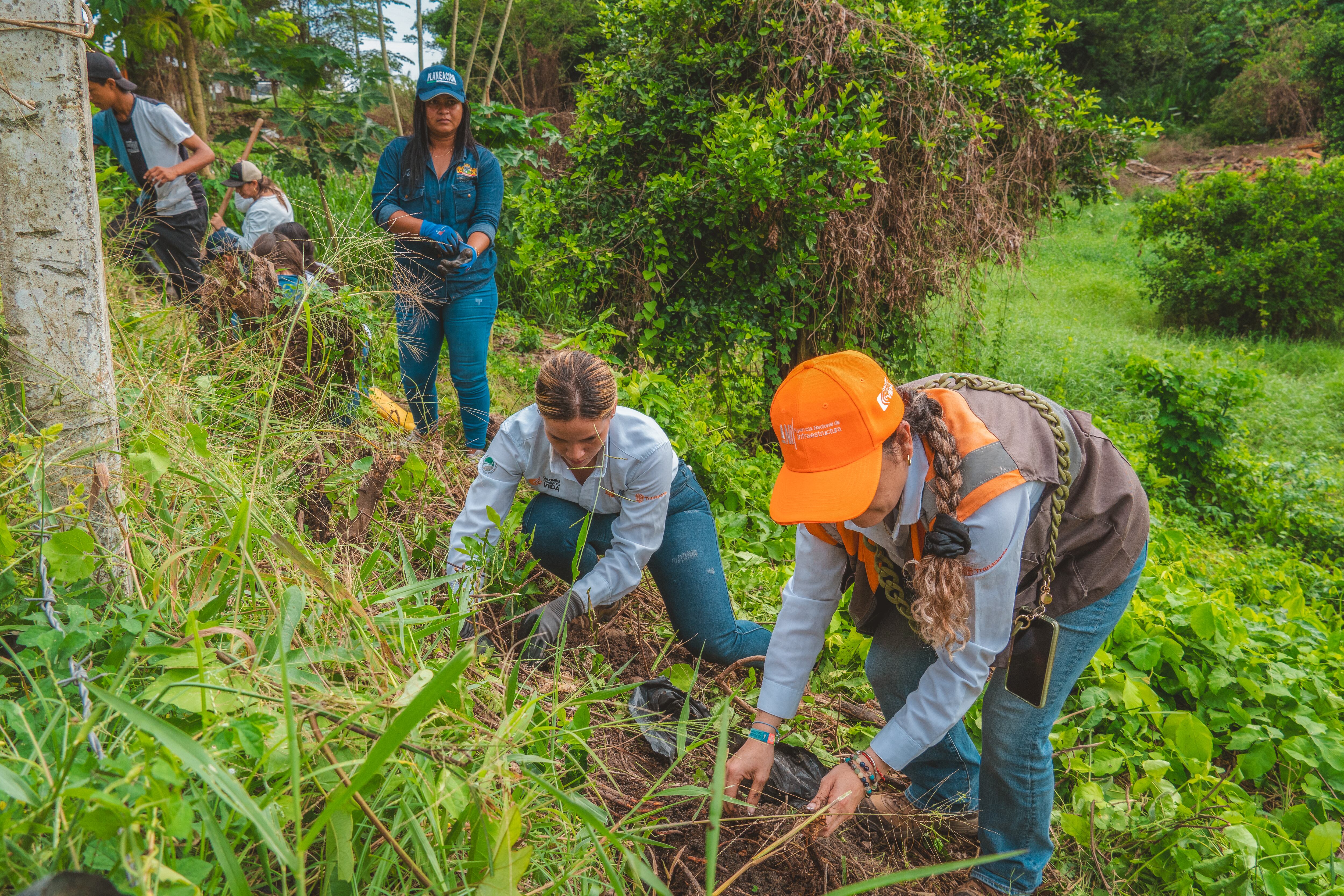 Troncal del Magdalena 1