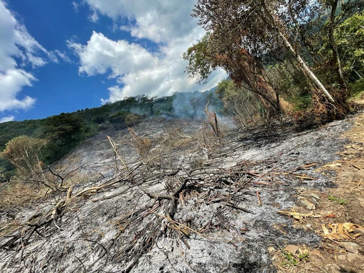 Emergencias por incendios de capa vegetal en la capital antioqueña