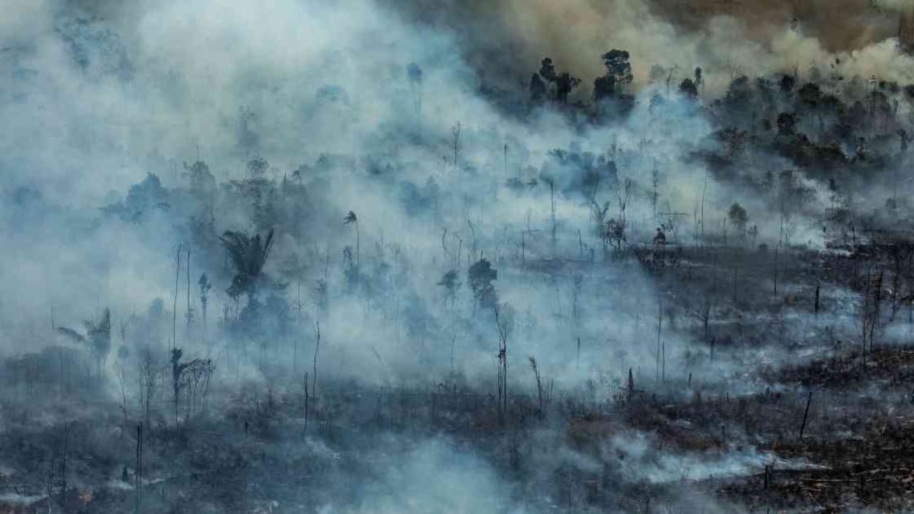 Solo en agosto de 2019 se registraron 30.901 focos de incendios en la Amazonia brasileña. Foto: Víctor Moriyama/Greenpeace