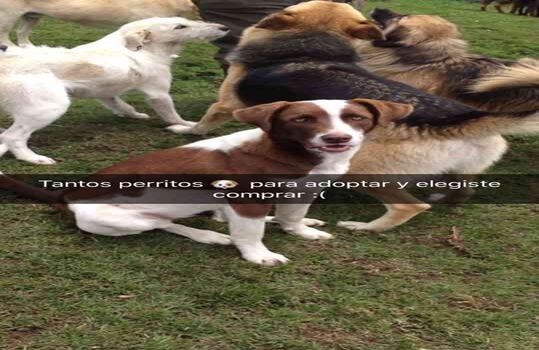 Alcaldía de Bogotá. 