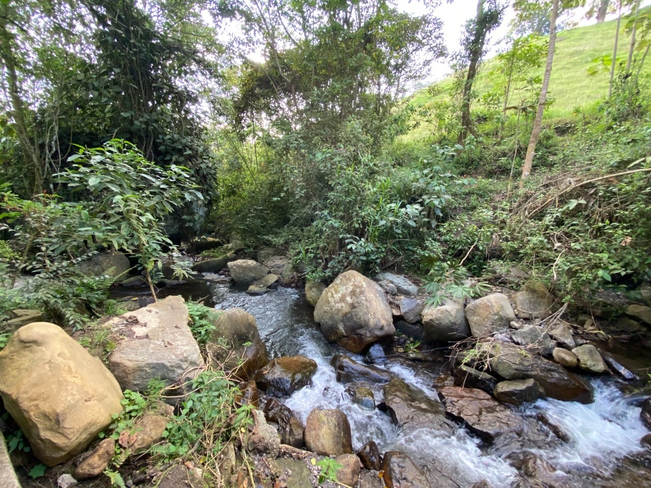 Cuenca del río Bogotá