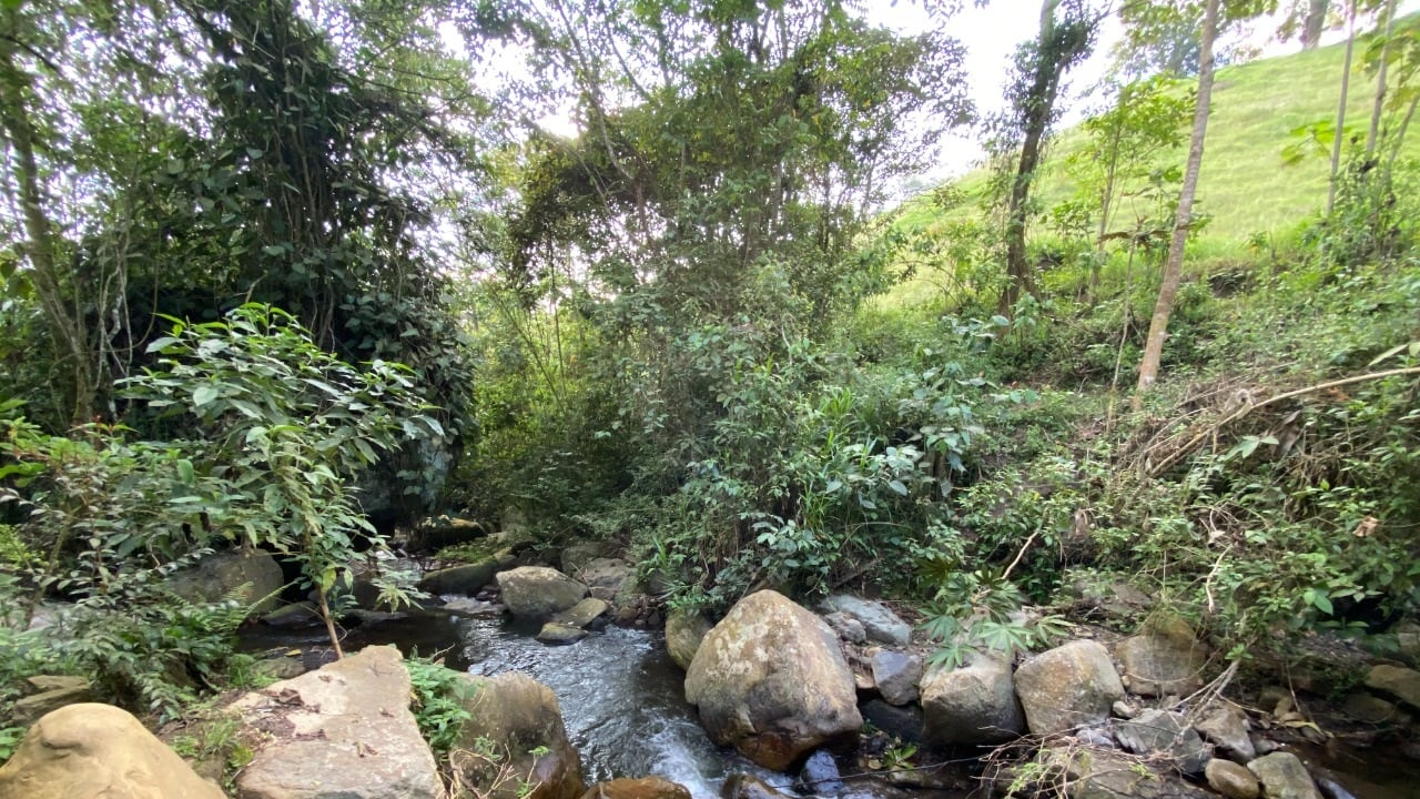 Cuenca del río Bogotá
