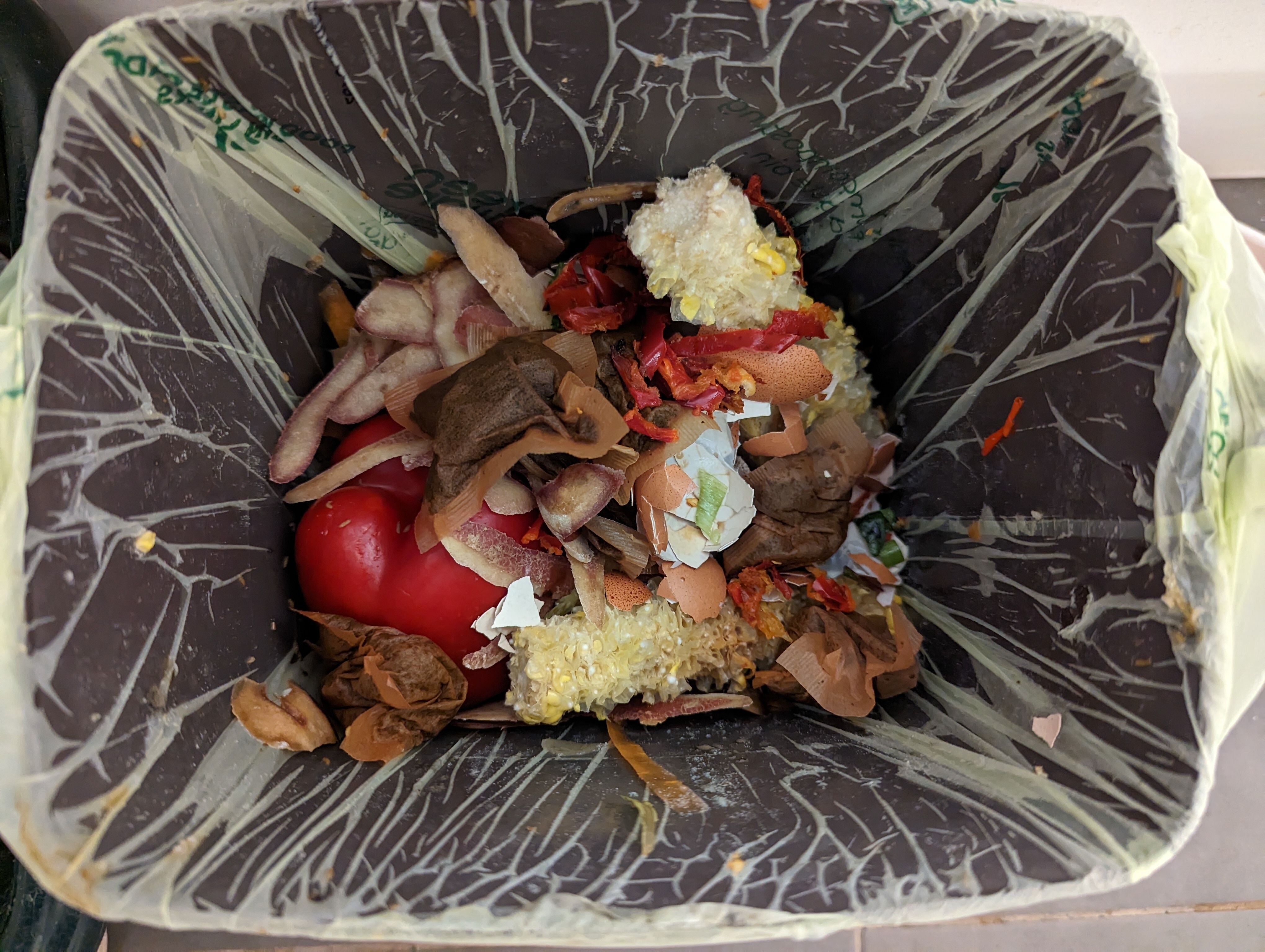 Un primer plano de un contenedor de basura de compost doméstico en un restaurante, lleno de desechos de comida.