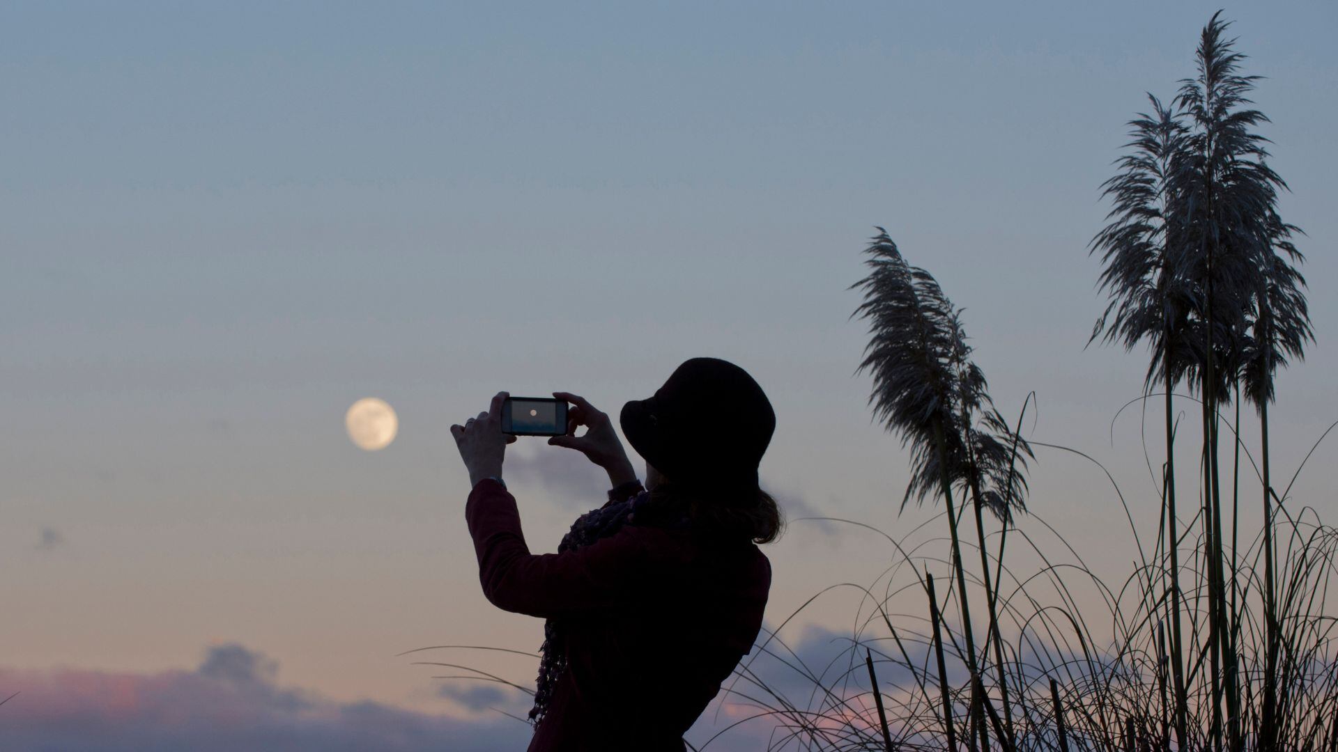 Compartir imágenes bien logradas puede despertar el interés de otras personas en temas científicos.