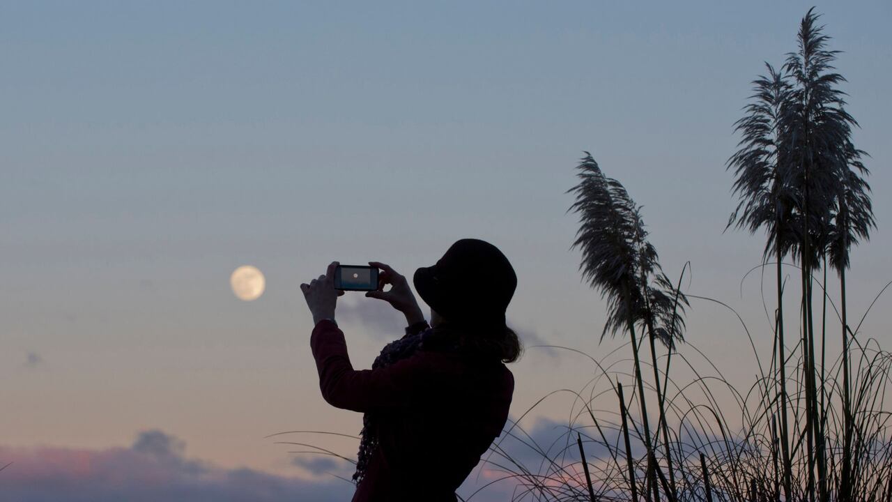 Compartir imágenes bien logradas puede despertar el interés de otras personas en temas científicos.