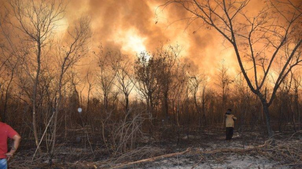 El horizonte es fuego. Las llamas avanzan y alguna cuadrilla de voluntarios observa el tamaño del desastre. Crédito: Juan de Dios Garay H.