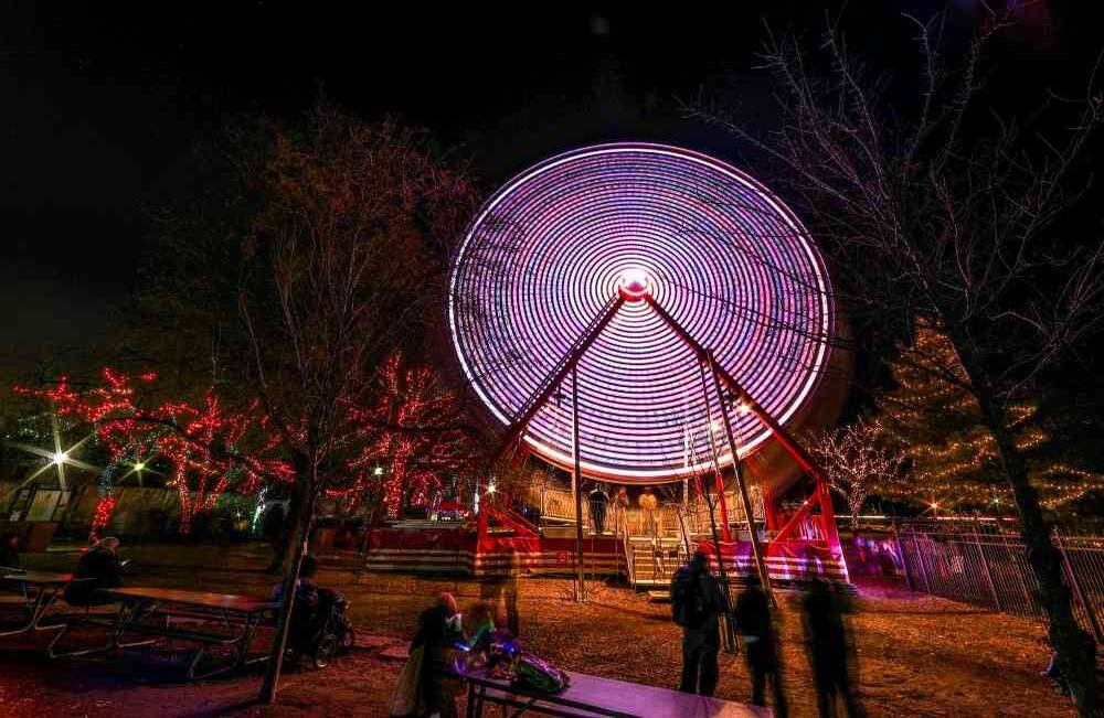 El "Chicago Zoo Lights" en Chicago atrae mucha atención. El espectáculo llamado "El país de las maravillas de Chicago", consta de alrededor de dos millones y medio de bulbos en diferentes formas dispuestas de manera distinta, esculturas de hielo, juguetes para parques de diversiones, exhibiciones de luces musicales, laberintos de luz, entre otros. (Bilgin S. Sasmaz - Agencia Anadolu)