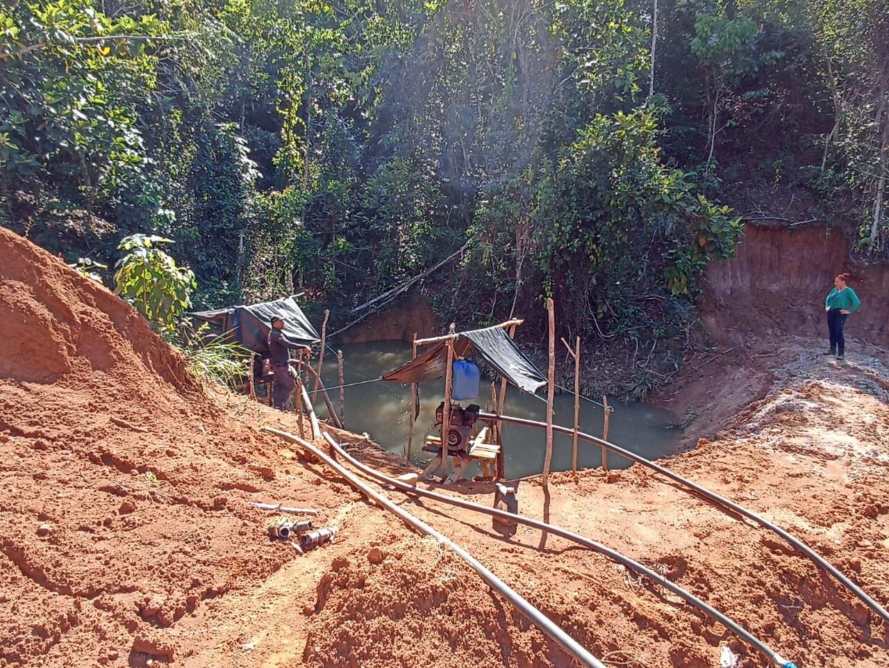 La afectación en la capa vegetal es de 65 hectáreas