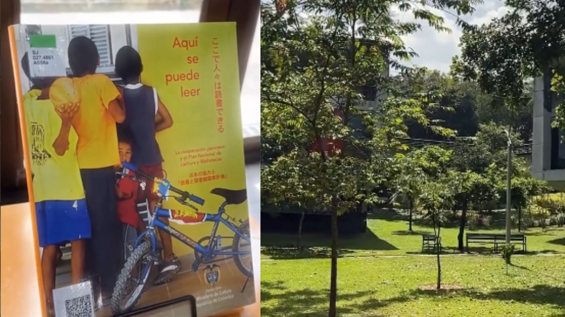 En Medellín, los parques biblioteca fortalecen su papel como entornos protectores, ofreciendo espacios de encuentro, escucha y orientación para prevenir la violencia .