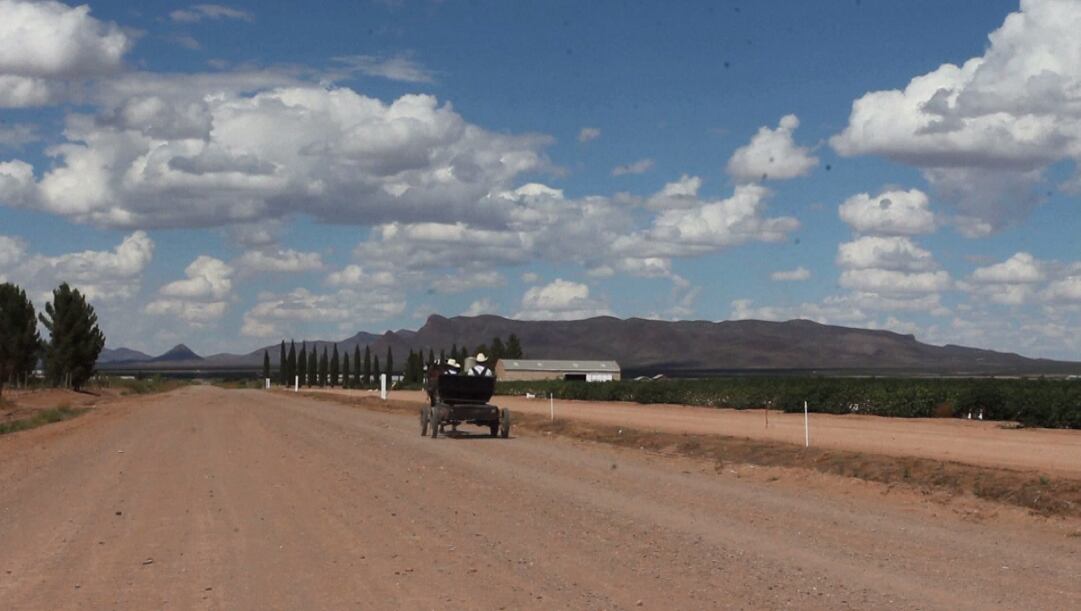 Menonitas de El Sabinal, la comunidad méxicana que acaba de enterarse que existe una pandemia