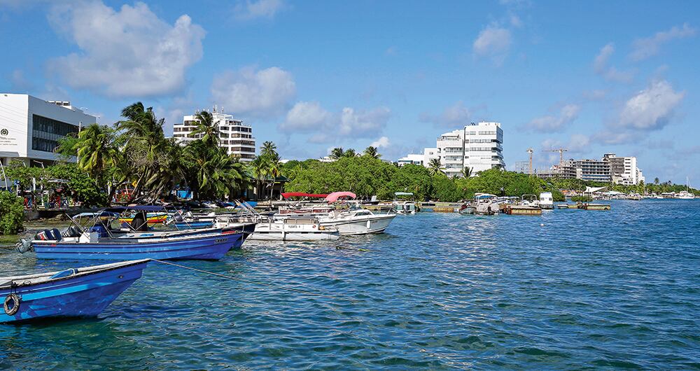 La Fiscalía trata de esclarecer si la organización habría suplantado los sellos de Migración Colombia en los pasaportes de los extranjeros para legalizar su tránsito por el país.