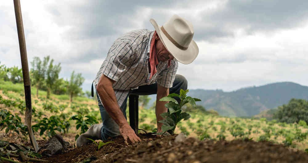 Los bancos son aliados del desarrollo del país.