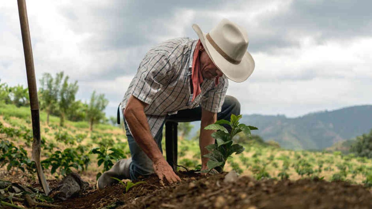 Los bancos son aliados del desarrollo del país.
