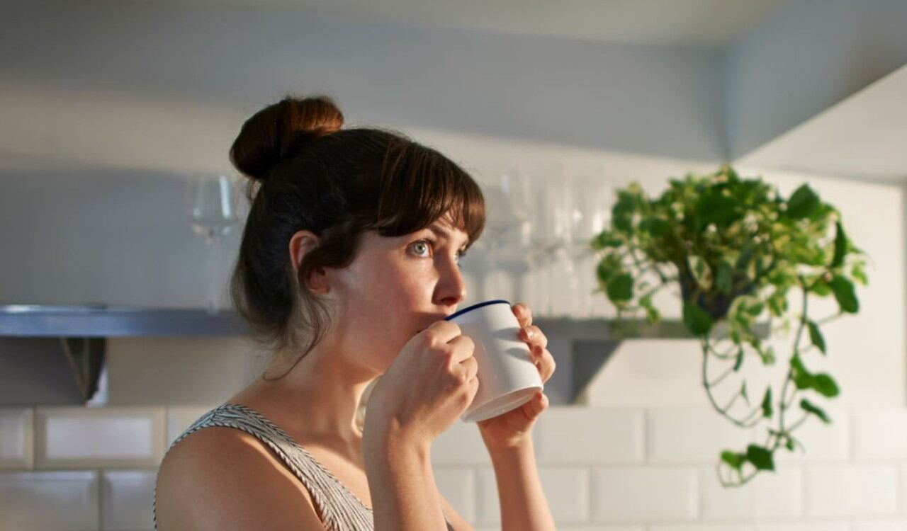 Ponerle un poco de cacao a una taza de café trae grandes beneficios