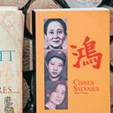 Libros: Los pilares de la tierra de Ken Follett. Cisnes salvajes de Jung chang: "los recomiendo". Foto: Paloma Villamil/14