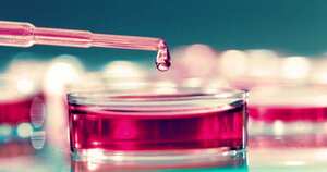 7. Histotecnólogos Con una puntuación de insalubridad de 59,0, se trata de una profesión relacionada con el procesamiento de material biológico para analizarlo en estudios microscópicos y, con ello, hacer diagnósticos por enfermedad. Así, tienen un alto índice de exposición a condiciones peligrosas del 88%, seguido a contaminantes y enfermedades infecciosas.