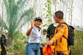Gran incendio forestal en Sucre