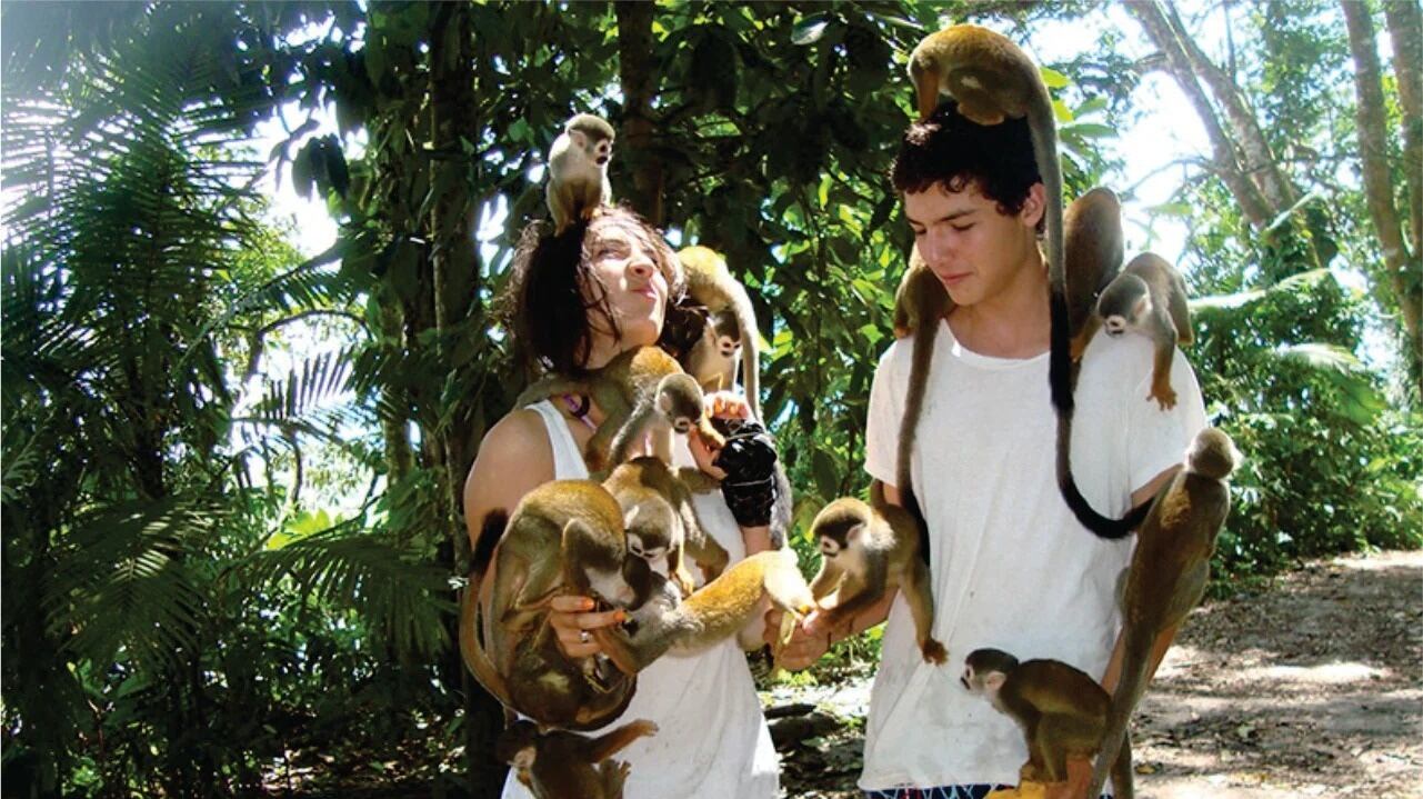 La isla de los Micos, cerca de Leticia, es un lugar atractivo para los turistas por la cantidad de estos animales que habitan el lugar.
