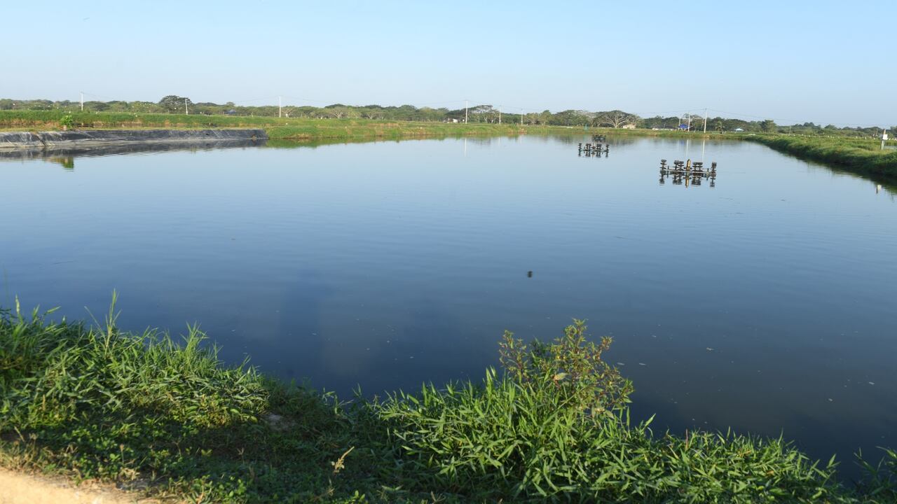 La finca tenía un contador ilegal y con carga no permitida