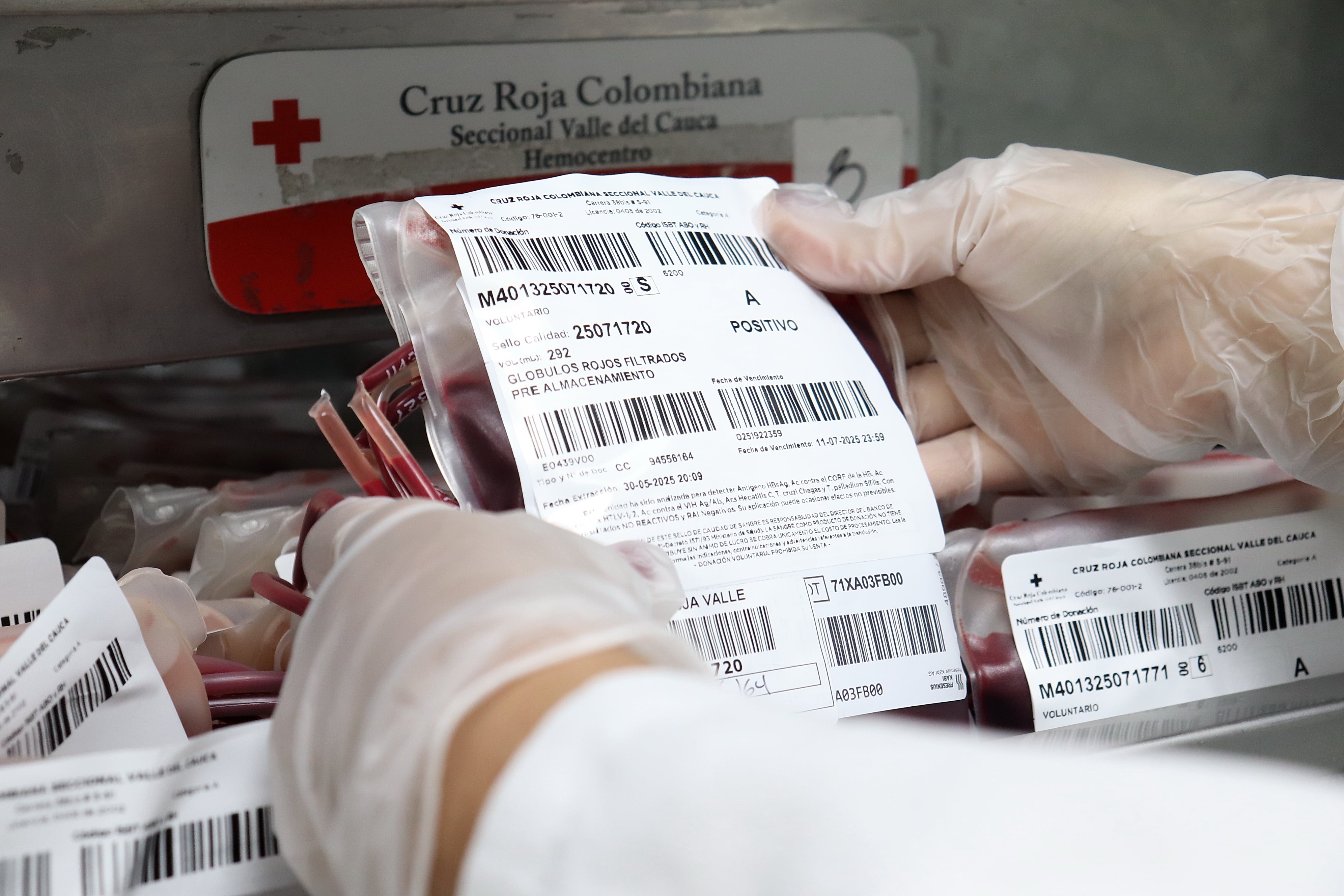 El proceso de donación de sangre trae consigo un registro riguroso del tipo de RH de los donantes.