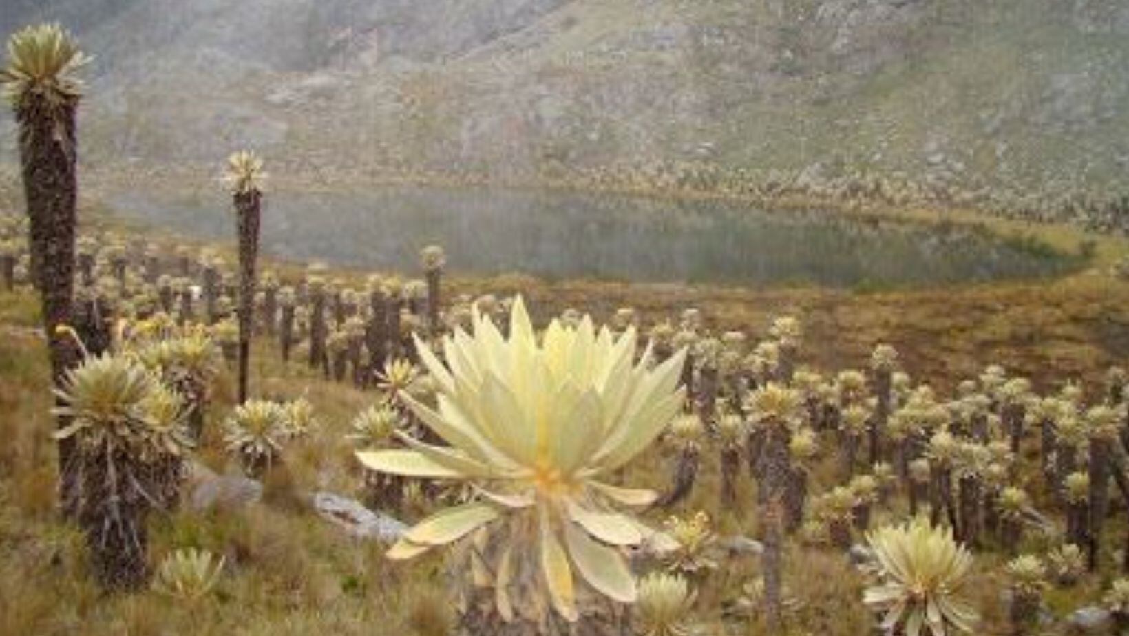 El mágico pueblo de Boyacá, conocido como el Valle de Belén; un paraíso de lagunas y páramos