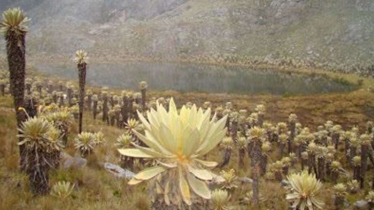 El mágico pueblo de Boyacá, conocido como el Valle de Belén; un paraíso de lagunas y páramos