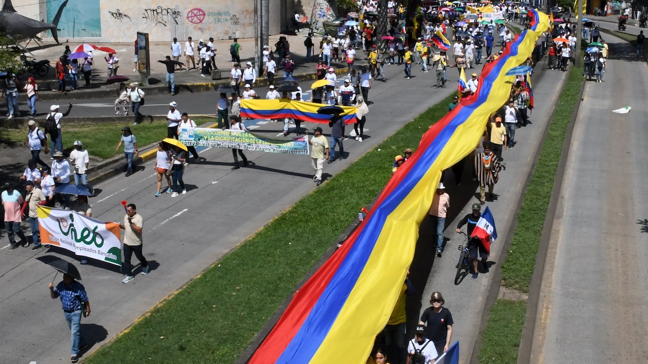 Cali: En completa calma, pero no tan concurridas como en anteriores ocasiones, se llevó a cabo la marcha durante el primer día del Paro Nacional convocado para los días 28 y 29 de Mayo. Foto José L Guzmán