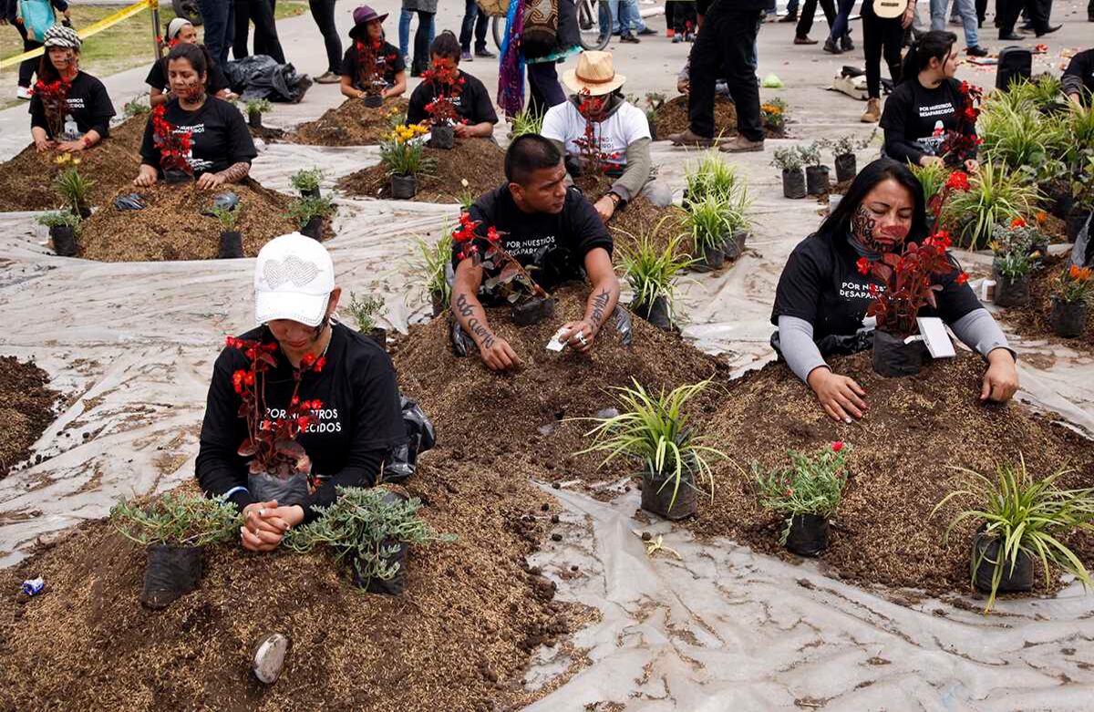 El jardín de la vida creado por la siembra de un grupo de 33 personas para conmemorar el Día Internacional de las Víctimas de Desaparición Forzada. Foto: León Darío Peláez / SEMANA 