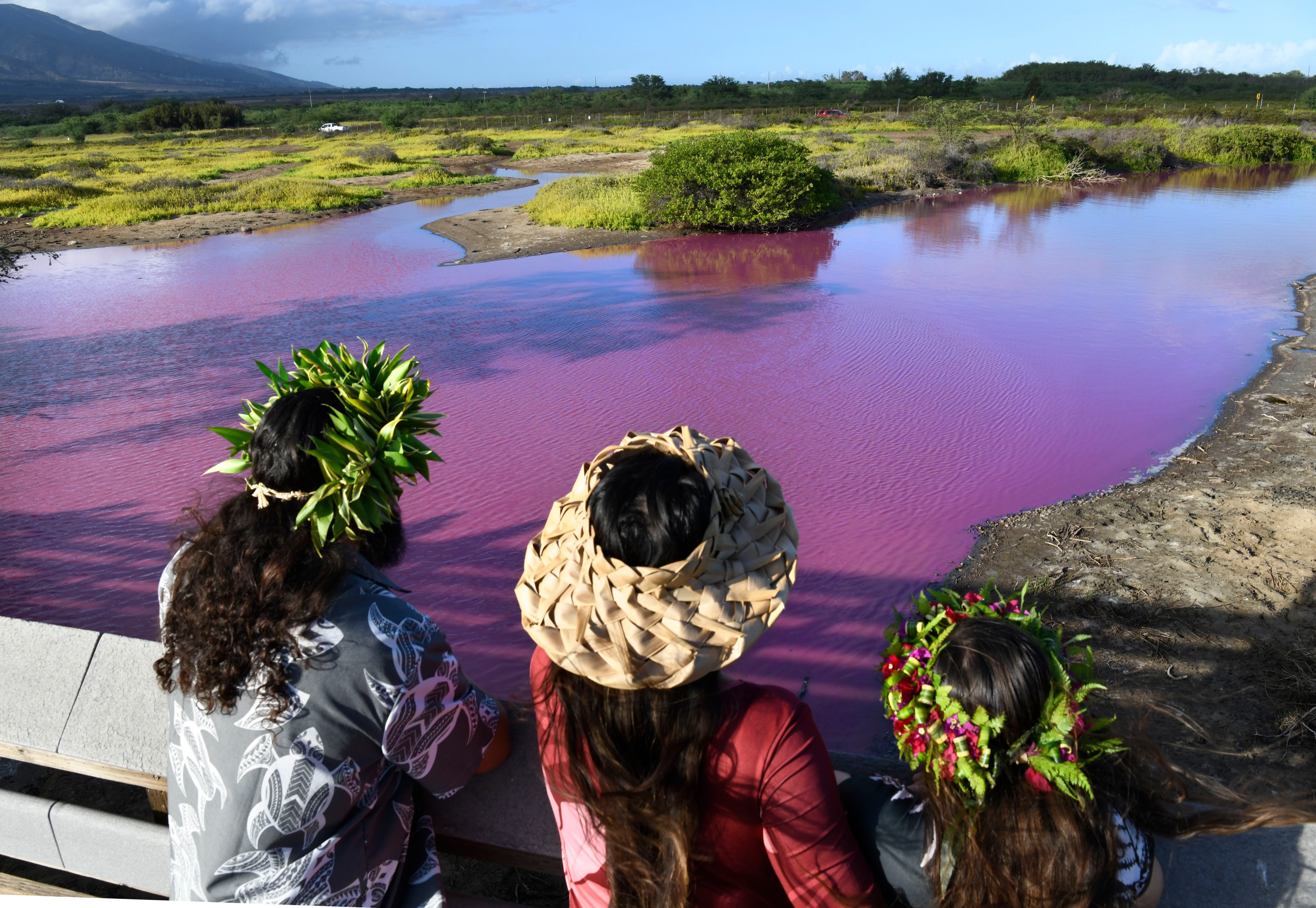 Shad Hanohano, de izquierda a derecha, Leilani Fagner y su hija Meleana Hanohano ven el agua rosada en el Refugio Nacional de Vida Silvestre Kealia Pond en Kihei, Hawái