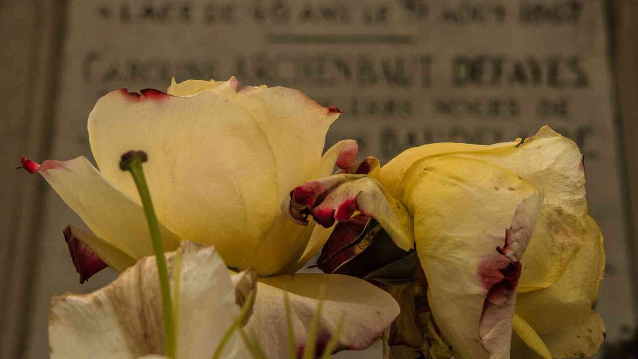 Flores en la tumba de Baudelaire.
