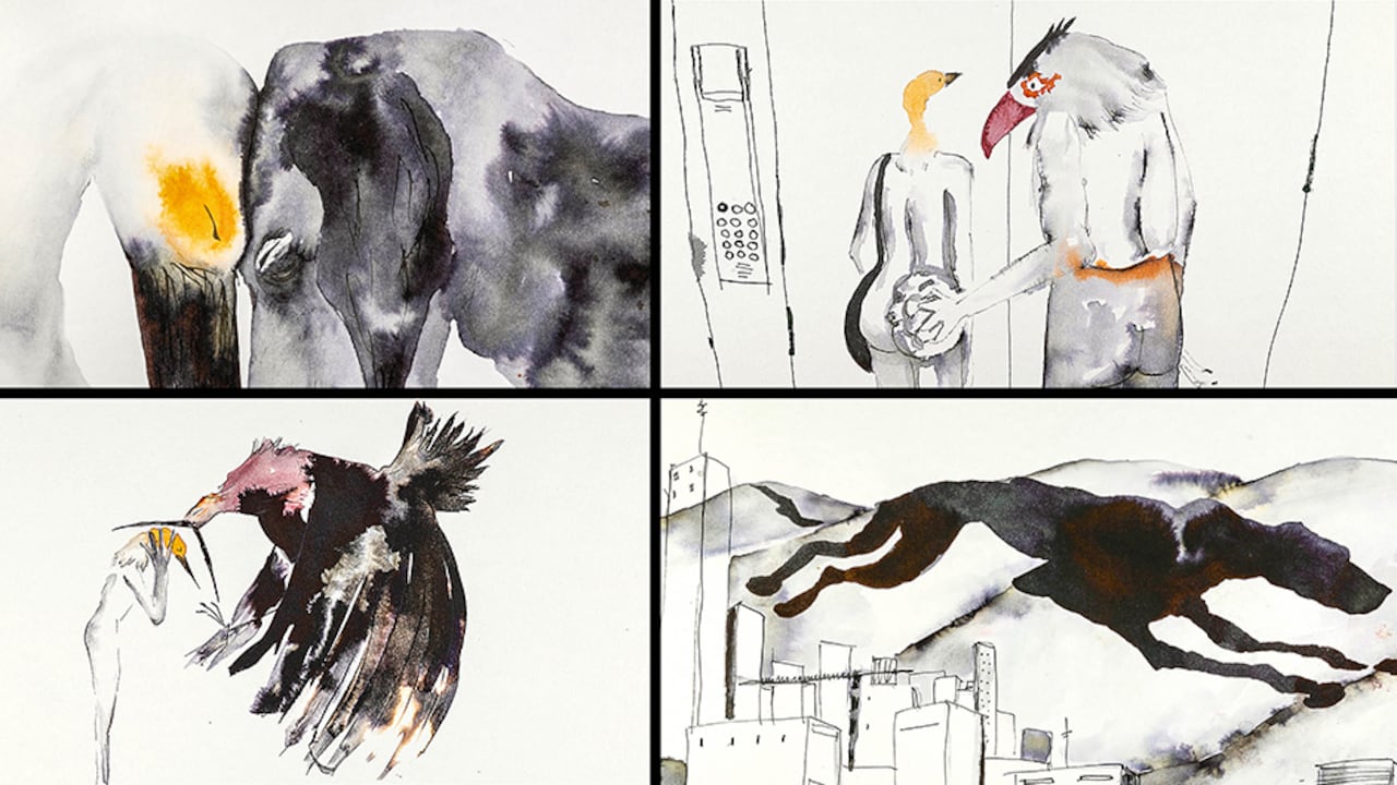 Las mujeres aquí son aves. Melo Gapert cuenta que, desde su primer corto animado, decidió ponerles picos a sus figuras humanas, pues no las dominaba, pero le quedó gustando. La perra animal es la perra animal, con todo el amor que representa.