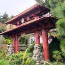 El Dragón Dorado, un museo de bonsáis en La Calera, Cundinamarca