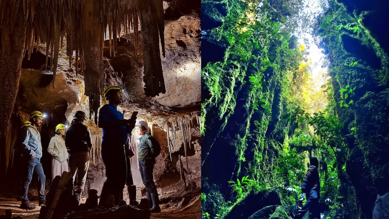 ¿Dónde está ubicado el Bosque de Pandora y qué hacer en este lugar? Promete una aventura épica