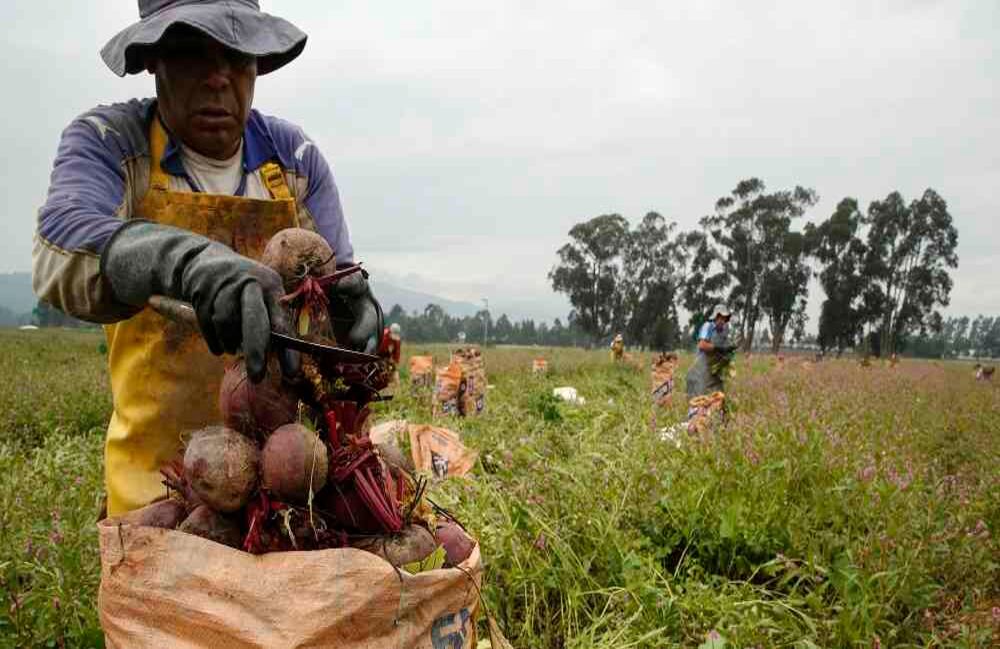 Índice de Precios Agropecuarios