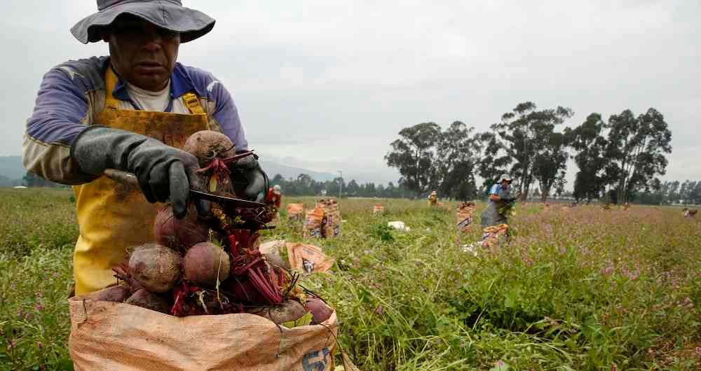 Índice de Precios Agropecuarios